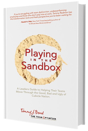 Playing in the Sandbox book cover