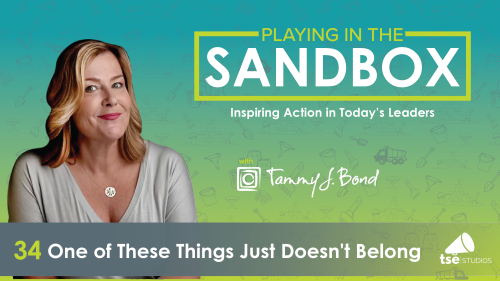 One of These Things Just Doesn't Belong